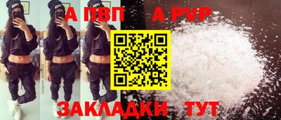 стафф Дубна