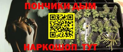 стафф Дубна