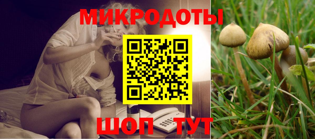 Юрга  Псилоцибиновые грибы прущие грибы  Галлюциногенные грибы Psilocybine cubensis  Вход с VPN 