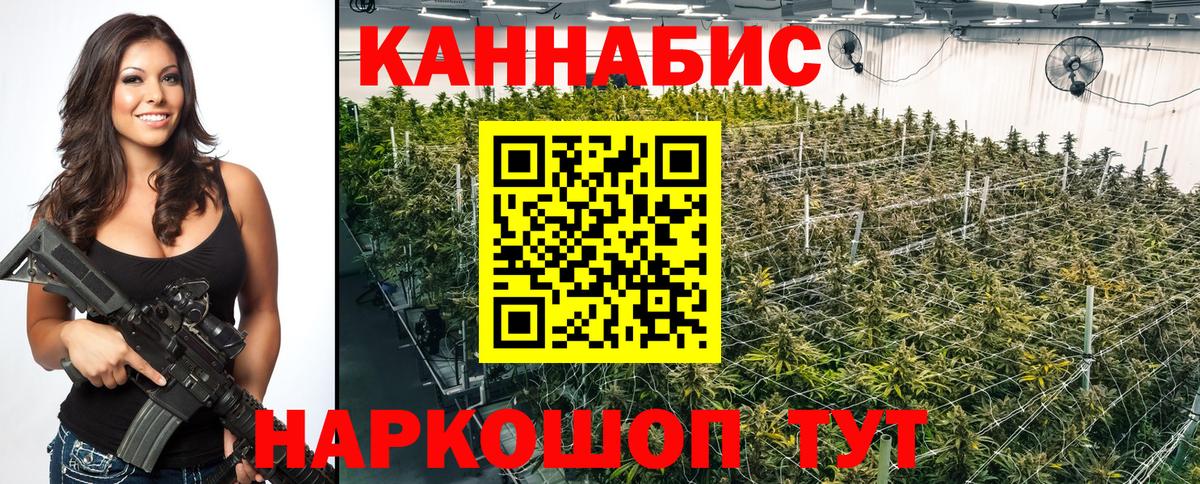 Бошки марихуана сатива  МАРИХУАНА SATIVA & INDICA  Марихуана гибрид  Вход с VPN  Юрга 